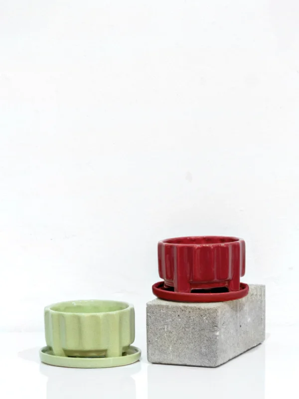COMBO (2 lilus + 2 plato b) - Moshi Home