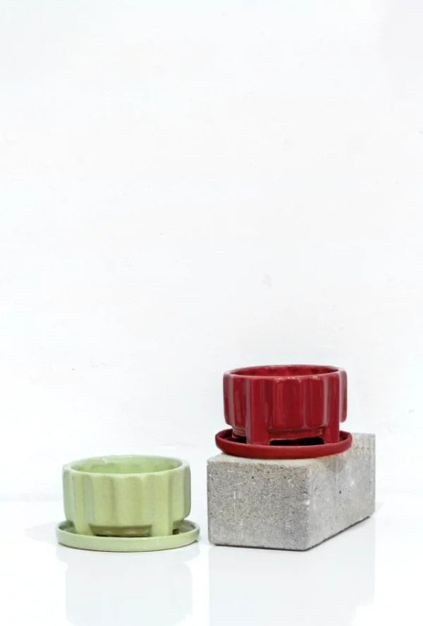 COMBO (2 lilus + 2 plato b) - Moshi Home