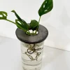 hidrario-net-04 Hidrario net - Moshi Home