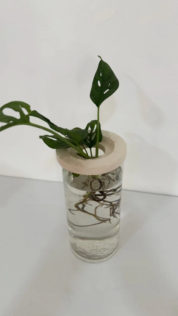 hidrario-surco-doble-tapa-04 Hidrario surco / doble tapa - Moshi Home