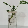 hidrario-surco-doble-tapa-06 Hidrario surco / doble tapa - Moshi Home
