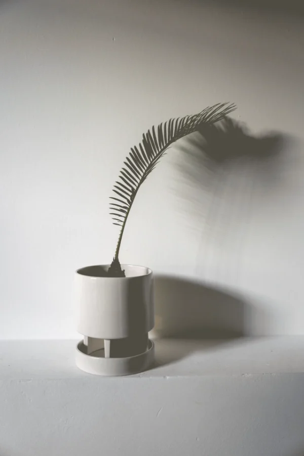 maceta-anker-blanco-02 Maceta Anker blanco - Moshi Home