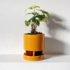 maceta-anker-ocre-02 Maceta Anker ocre - Moshi Home