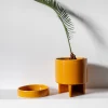 maceta-anker-ocre-03 Maceta Anker ocre - Moshi Home