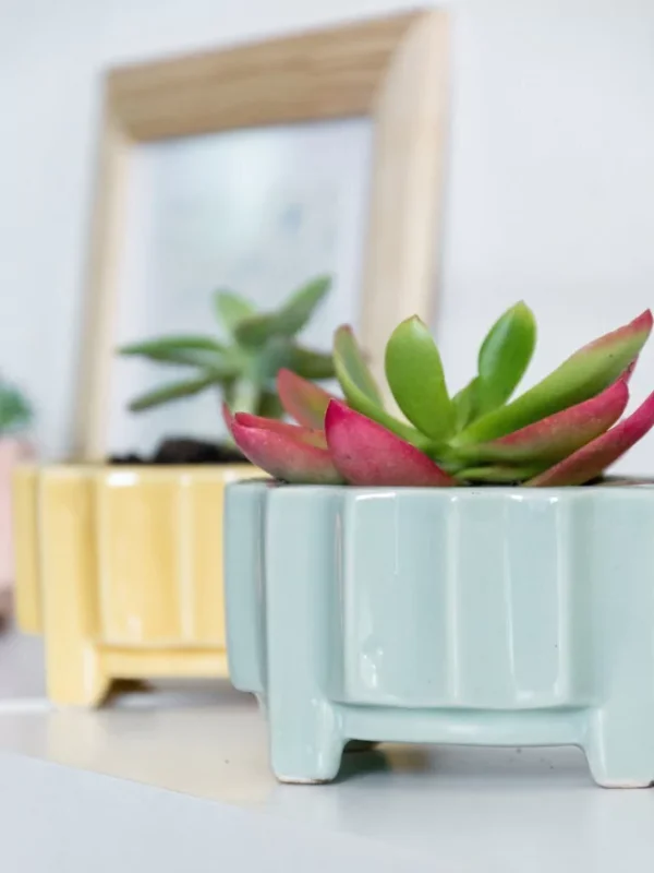 Maceta Lilus aqua jaspeada - Moshi Home