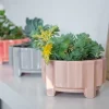 Maceta Lilus Lila - Moshi Home