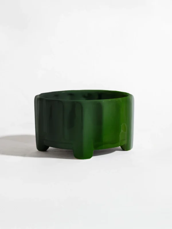 Maceta Lilus verde ingles - Moshi Home
