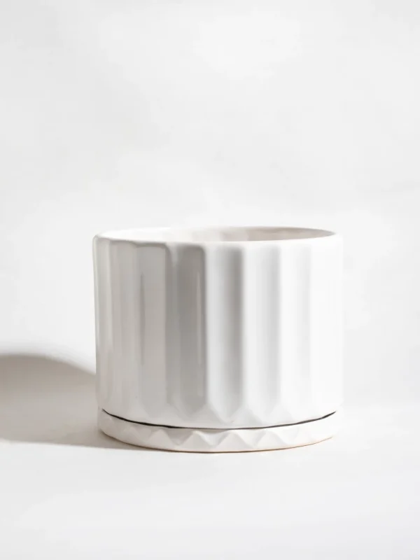 Maceta Pothia con plato blanca - Moshi Home