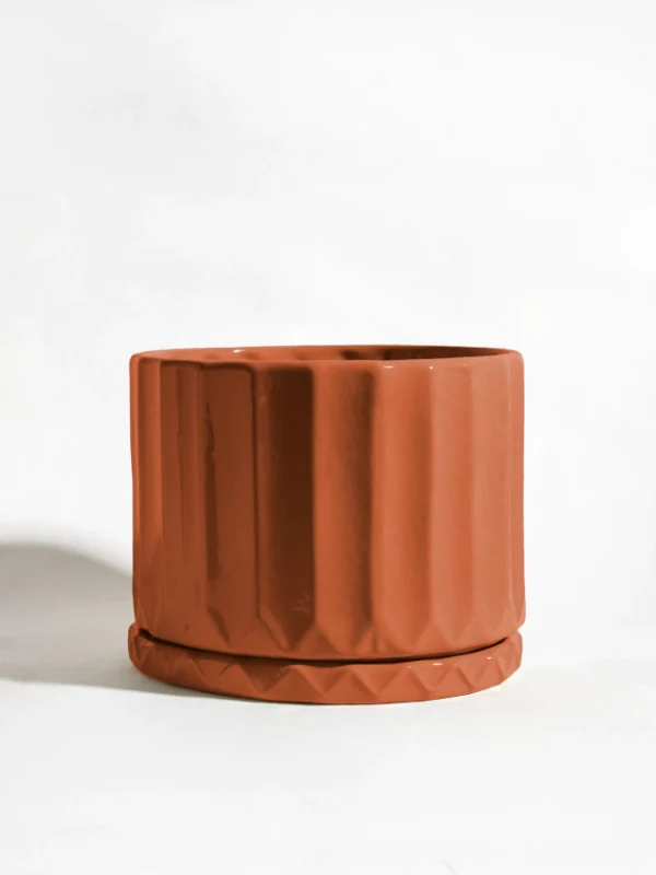 Maceta Pothia con plato brick - Moshi Home