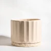 Maceta Pothia con plato cruda - Moshi Home