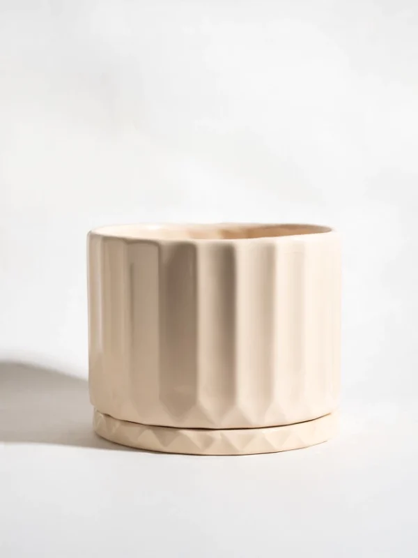 Maceta Pothia con plato cruda - Moshi Home