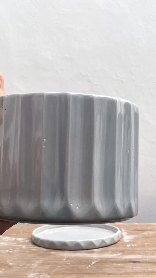 Maceta Pothia con plato gris claro ( SALDOS ) - Moshi Home