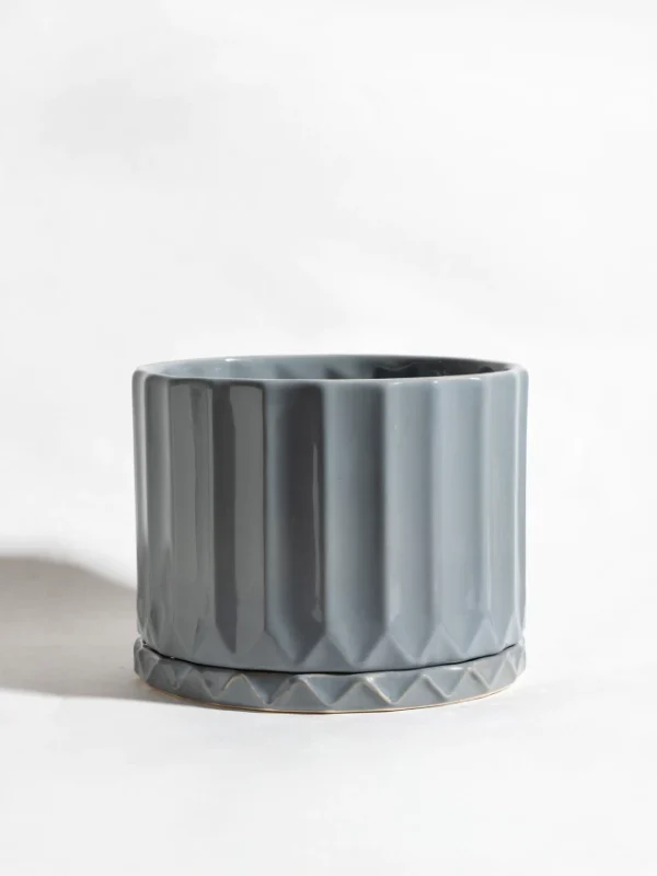 Maceta Pothia con plato gris plomo - Moshi Home