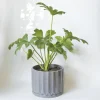 maceta-pothia-con-plato-gris-plomo-02 Maceta Pothia con plato gris plomo - Moshi Home