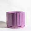 maceta-pothia-con-plato-lila-01 Maceta Pothia con plato lila - Moshi Home