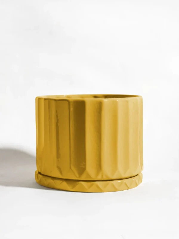 maceta-pothia-con-plato-maiz-01 Maceta Pothia con plato maiz - Moshi Home