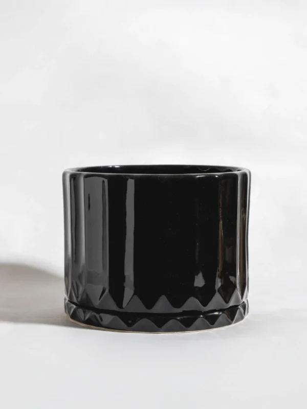 Maceta Pothia con plato negro - Moshi Home