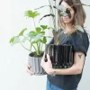Maceta Pothia con plato negro - Moshi Home