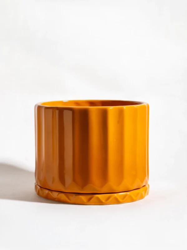 Maceta Pothia con plato ocre - Moshi Home