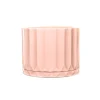 maceta-pothia-con-plato-rosa-01 Maceta Pothia con plato rosa - Moshi Home