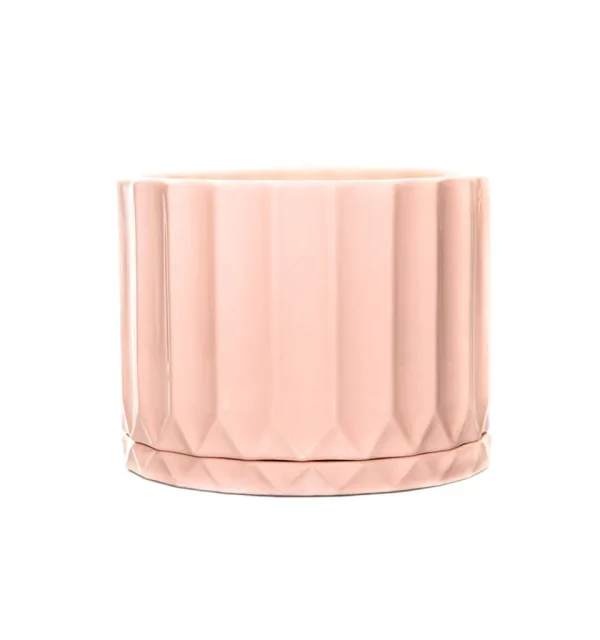 Maceta Pothia con plato rosa - Moshi Home