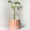 maceta-pothia-con-plato-rosa-02 Maceta Pothia con plato rosa - Moshi Home