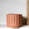 Maceta Pothia con plato terracota - Moshi Home