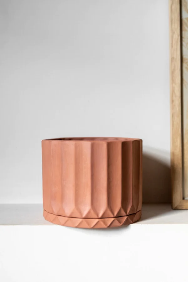 Maceta Pothia con plato terracota - Moshi Home
