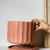 Maceta Pothia con plato terracota - Moshi Home