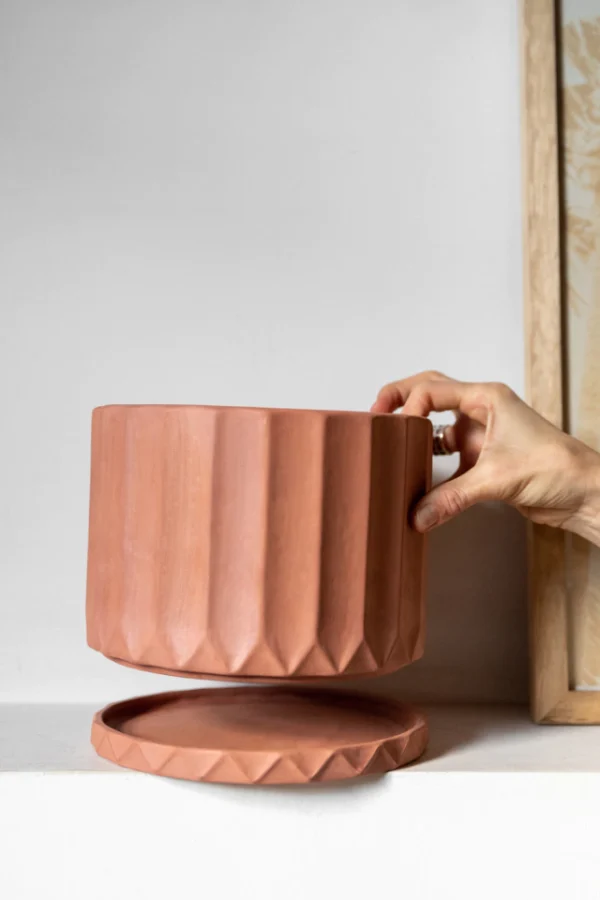 Maceta Pothia con plato terracota - Moshi Home