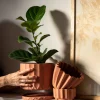Maceta Pothia con plato terracota - Moshi Home