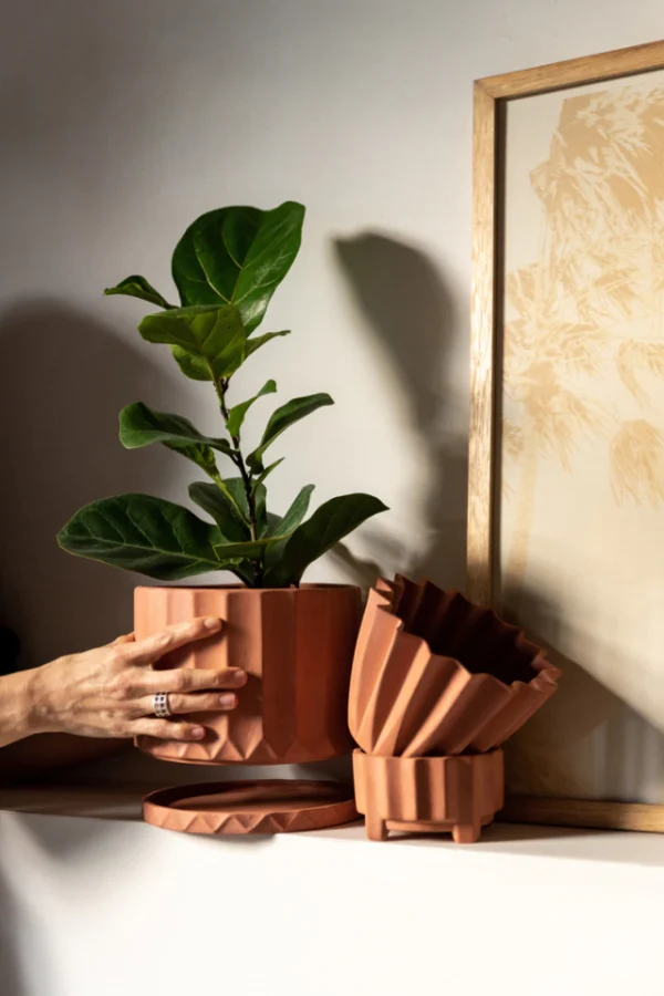 Maceta Pothia con plato terracota - Moshi Home