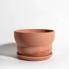 Maceta Sintra terracota - M CON plato - Moshi Home
