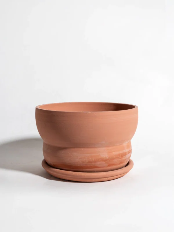 maceta-sintra-terracota-m-con-plato-01 Maceta Sintra terracota - M CON plato - Moshi Home
