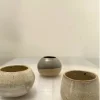 Mate pumpkin - Moshi Home