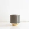 Pocillo Lugo S - Moshi Home